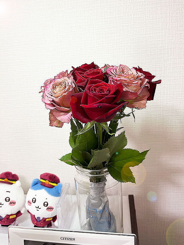 お花が到着。到着時の様子14